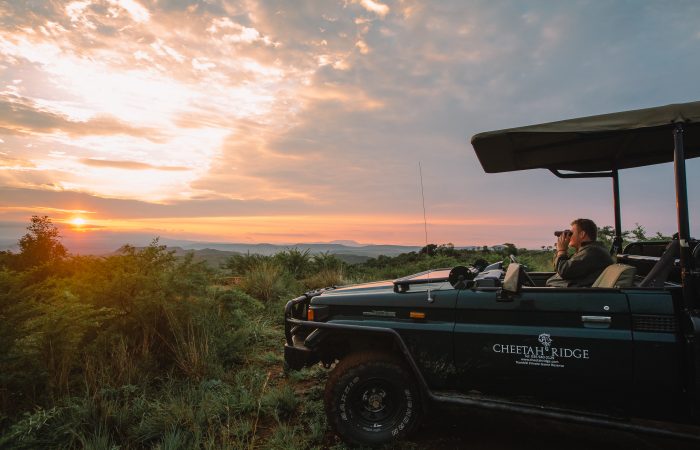 A game ranger looking out over the plains at sunset