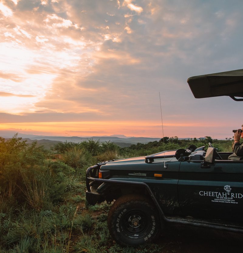 A game ranger looking out over the plains at sunset