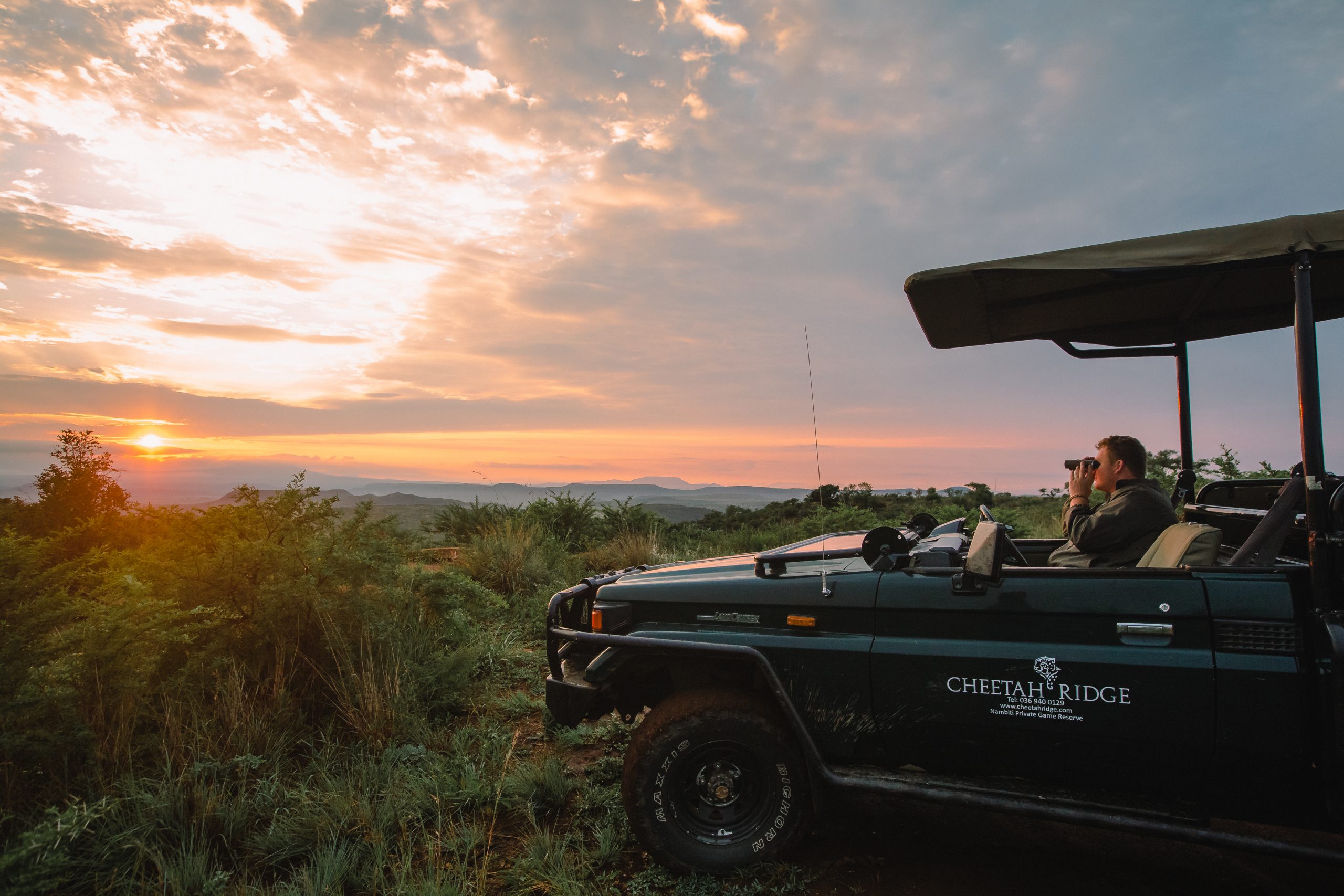 A game ranger looking out over the plains at sunset